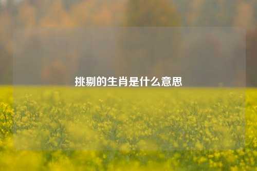 挑剔的生肖是什么意思