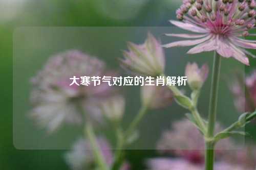 大寒节气对应的生肖解析