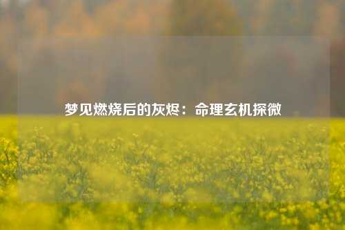 梦见燃烧后的灰烬:命理玄机探微