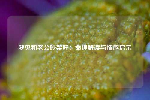 梦见和老公吵架好：命理解读与情感启示