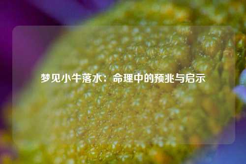 梦见小牛落水：命理中的预兆与启示