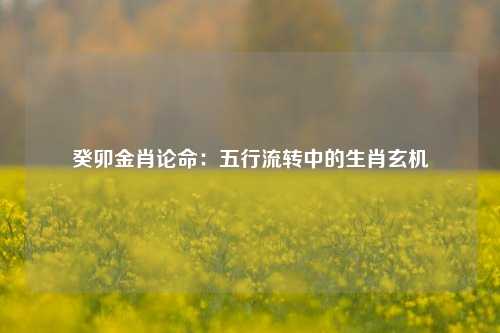 癸卯金肖论命:五行流转中的生肖玄机